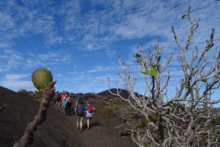 Lanzarote: Vandra genom Timanfayas vulkaniska landskap