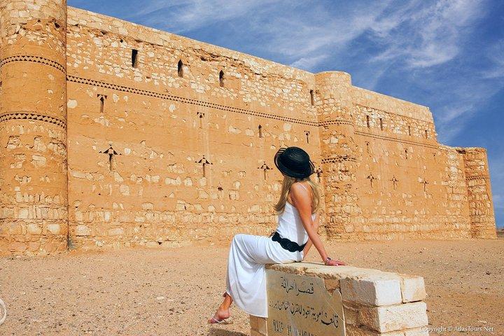 Excursão a Desert Castles & Azraq Wetland Reserve