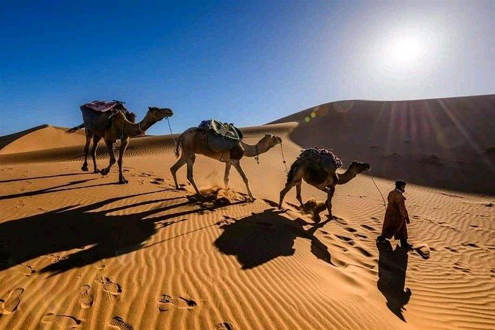 Shared 3 Day Desert Safari Experience tour from Marrakech to Merzouga