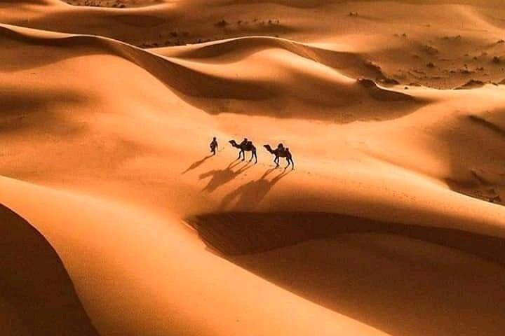 Shared 3 Day Desert Safari Experience tour from Marrakech to Merzouga