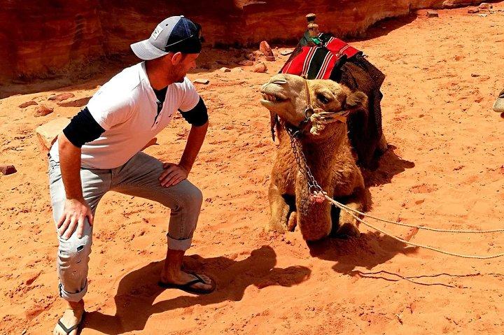 Excursion d'une journée au Wadi Rum au départ d'Amman ou de la mer Morte