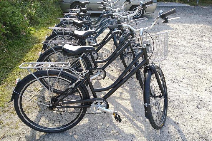 Excursion à vélo d’une demi-journée dans la campagne de Penang