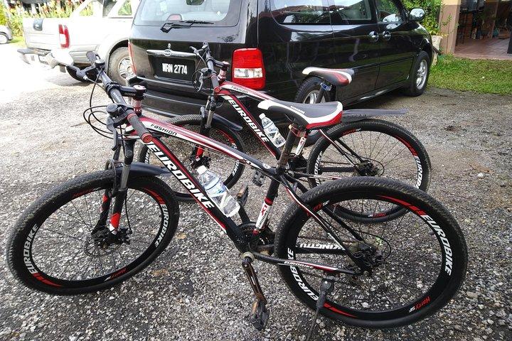 Excursion à vélo d’une demi-journée dans la campagne de Penang