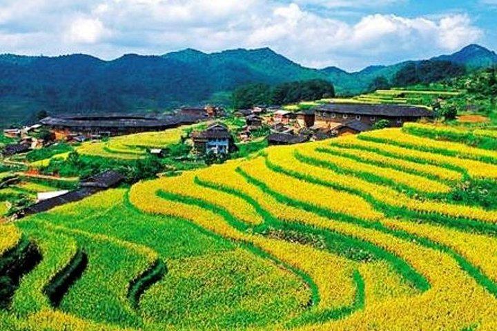 Ganztägige private Tour nach Tianluokeng Tulou und Taxia Village ab Xiamen