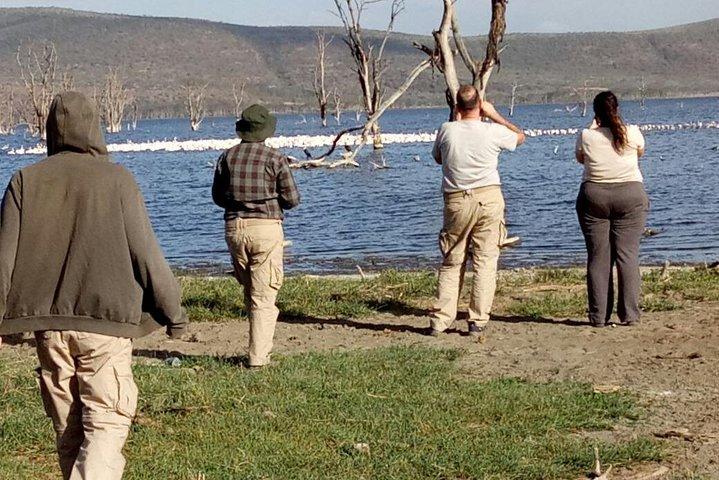 Incrível Safari de 9 dias no Quênia e na Tanzânia