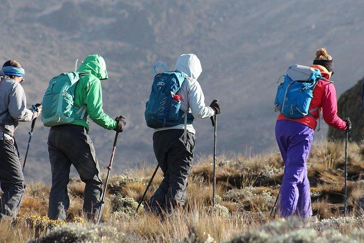 Excursión de un día a la meseta del Kilimanjaro Shira desde Moshi