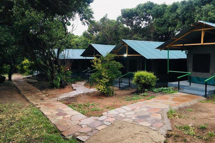 3 Days Great Migration Camping Safari in Maasai Mara National Reserve, Kenya