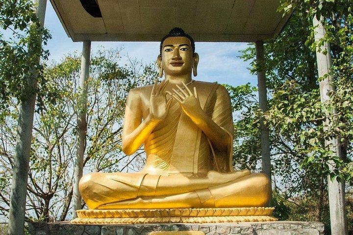 シェムリアップ発バッタンバン日帰り旅行 - バンブー トレイン、コウモリの洞窟