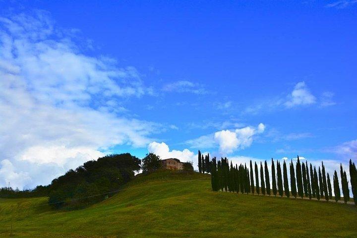 Montalcino en Brunello Wine Private Tour