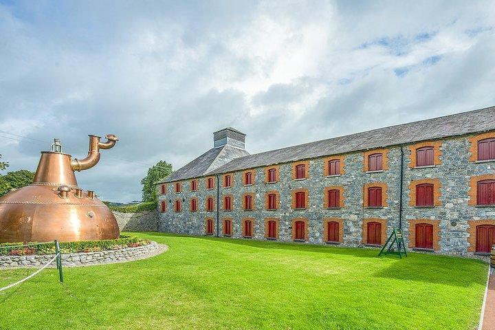 Udforsk Dublins Instaworthy Spots med en lokal