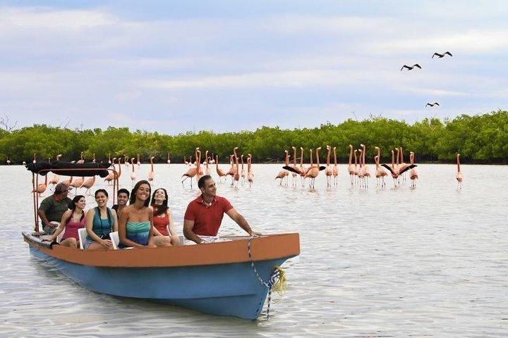 Découvrez les FABULEUSES EAUX ROSES des Caraïbes (Las Coloradas + Río Lagartos)