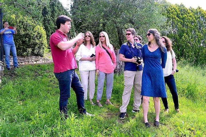 Dagtour naar kastelen in Toscane met wijnproeverij vanuit Florence