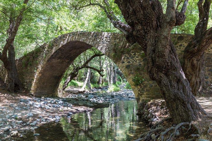 Passeios individuais a partir de Paphos