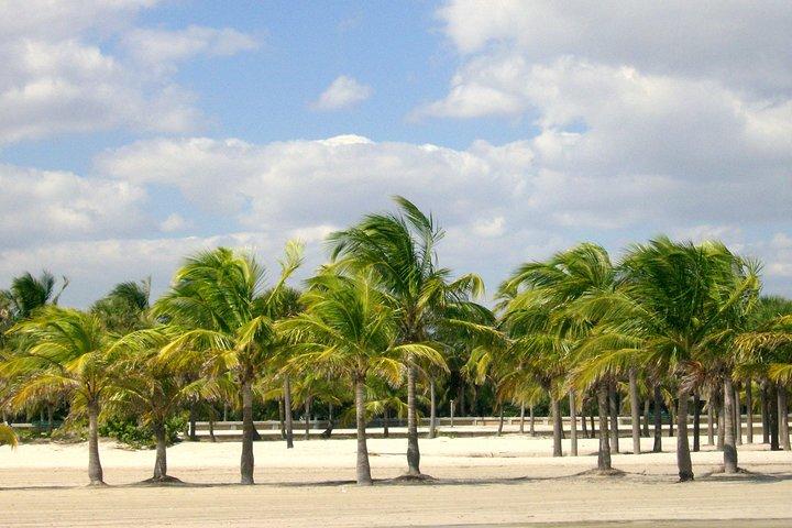 Private 4-stündige Stadtrundfahrt durch Miami vom Flughafen Miami mit privatem Fahrer / Guide