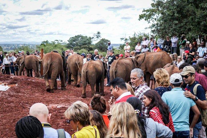 Nairobi City Safari : Park & olifantenweeshuis