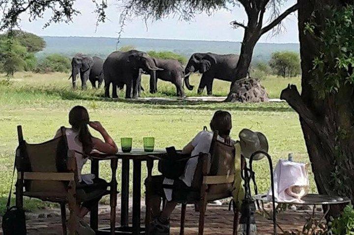3 dages bedste af Tanzania Safari