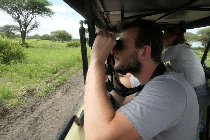 Serengeti, Ngorongoro och Tarangire 4-dagars safari