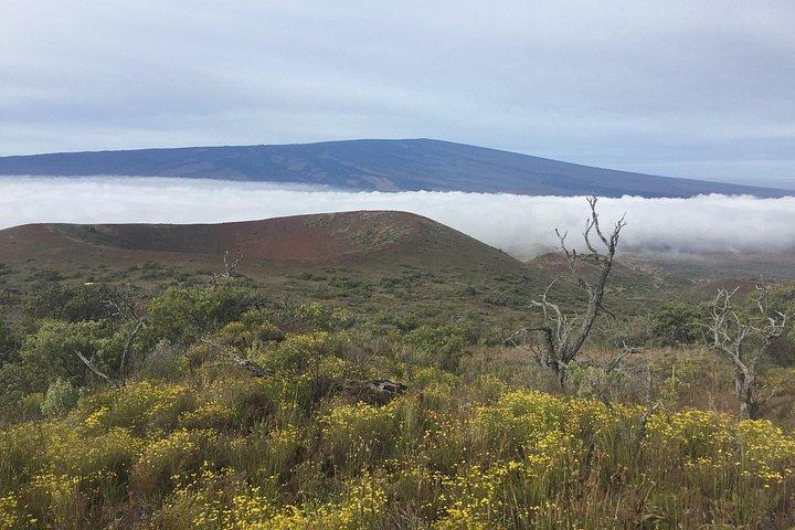 Big Island Volcano Adventure from Kona: Small Group