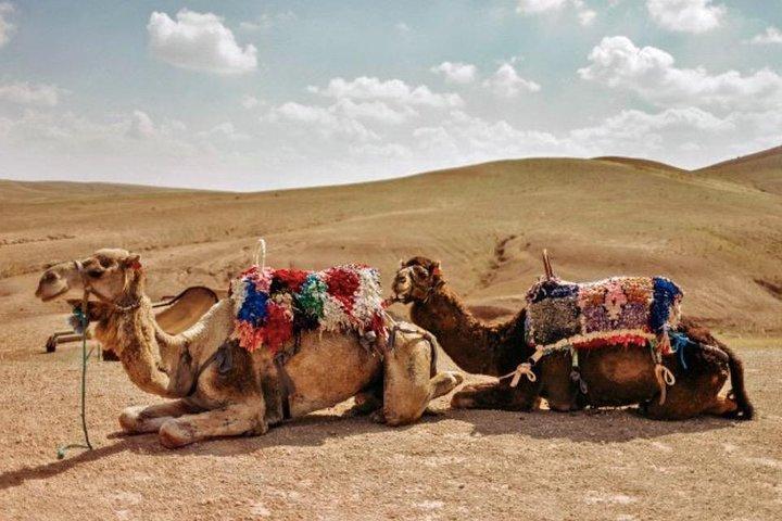 3 Tage: Private Wüstentour von Marrakesch nach Merzouga über Atlas & Camel Trek