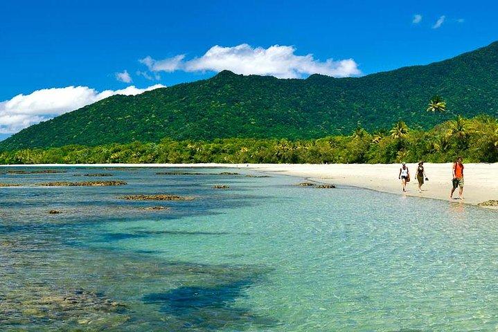 Private Cape Tribulation and Mossman Gorge Day Tour