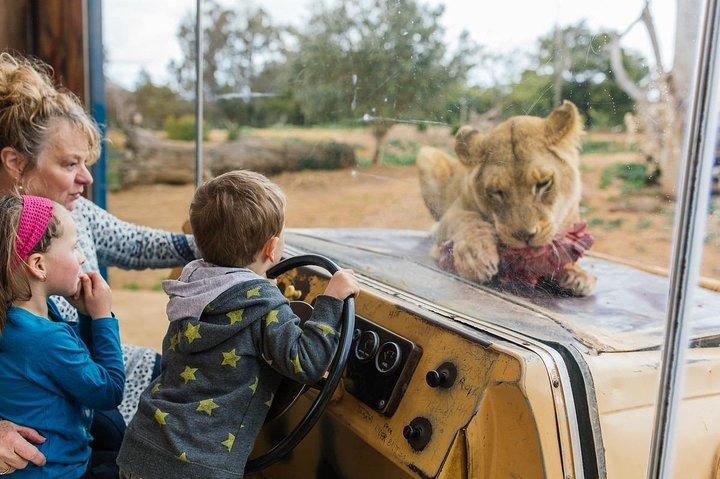 ウェリビーオープンレンジ動物園一般入場券