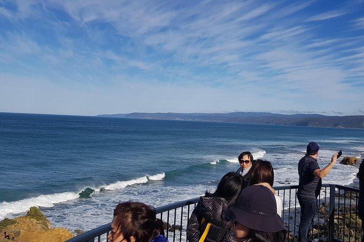 Great Ocean Road Private Express Tour