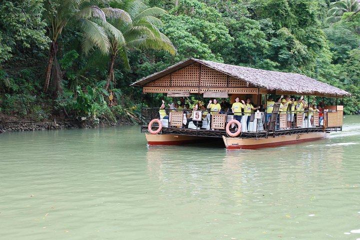 Tarsier＆Loboc river Buffet Lunchのチョコレートヒルツアー（半日ツアー）