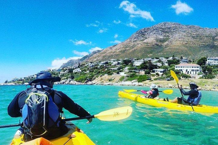 Vai in kayak ai pinguini a Simons Town