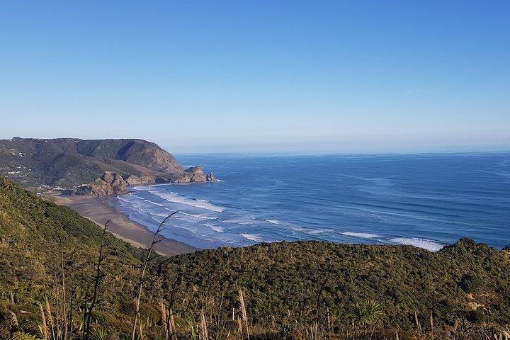 West Coast Discovery - Piha Beach oder Muriwai Beach von Auckland