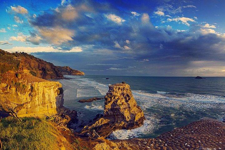 West Coast Discovery - Piha Beach oder Muriwai Beach von Auckland