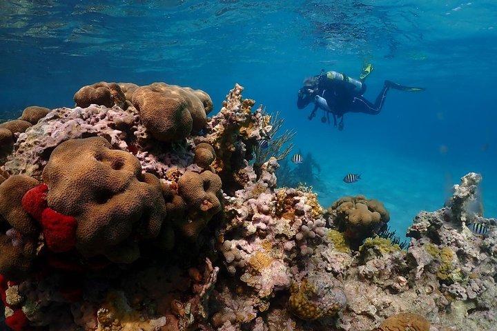 Culebra Snorkeling e Beach Day Tour All Inclusive