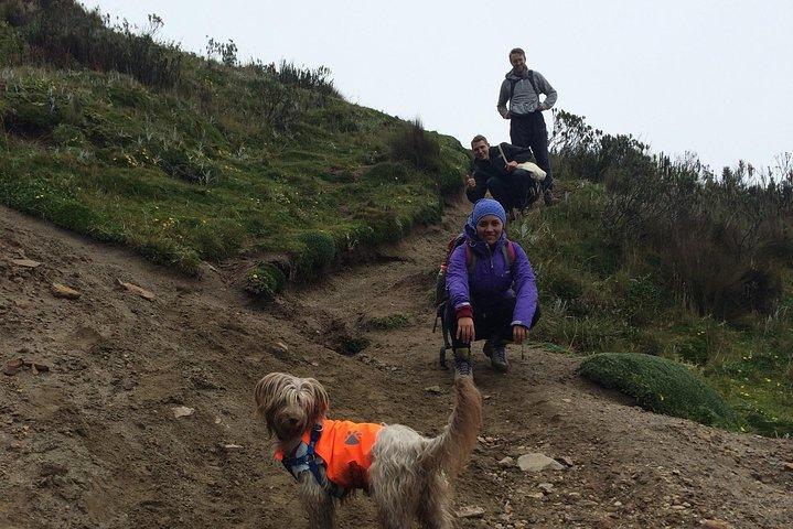 Caminata a la Cumbre Ruco Pichincha
