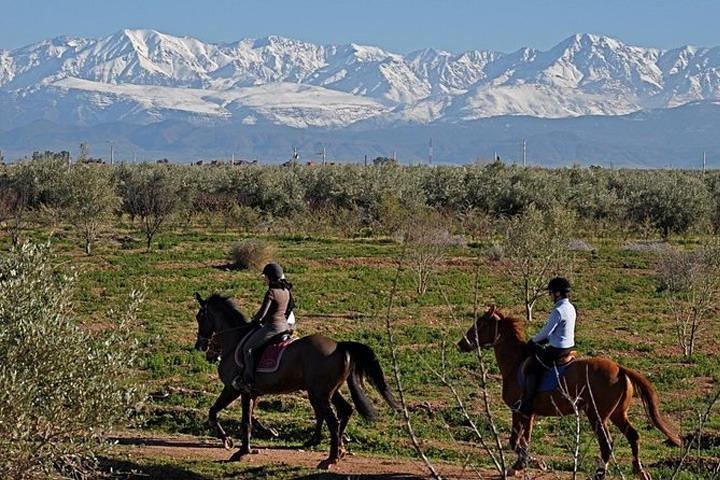 Horseback Riding in the Desert DE Marrakech with Guide