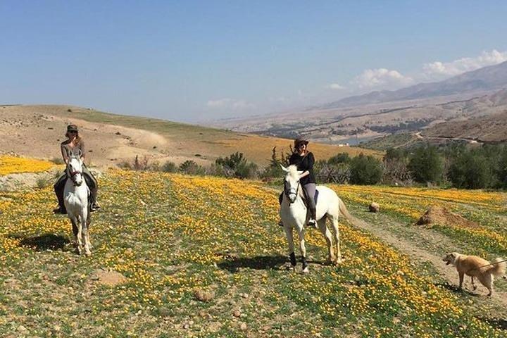 Horseback Riding in the Desert DE Marrakech with Guide
