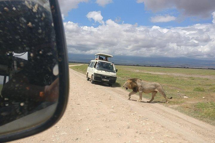 Amboseli dagstur !!