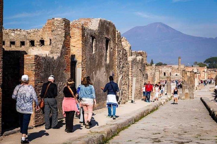 Tour privado a Pompeya con guía local y entrada