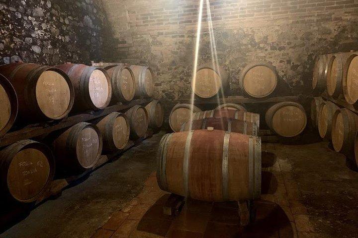 Excursão privada ao vinho Chianti