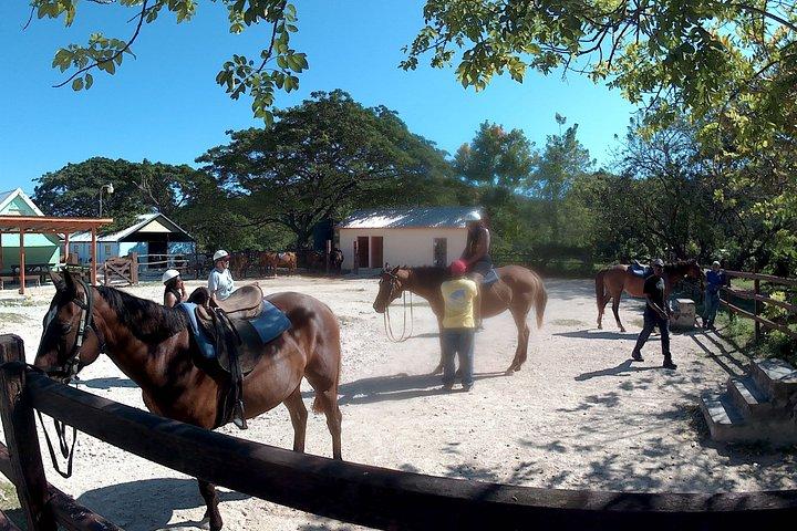 Privat ridtur på häst i Jamaica, simäventyr och stadshighlight