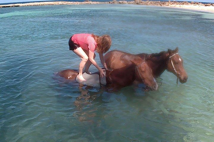 プライベート・ジャマイカ乗馬スイムアドベンチャー＆シティハイライト