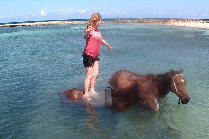 プライベート・ジャマイカ乗馬スイムアドベンチャー＆シティハイライト