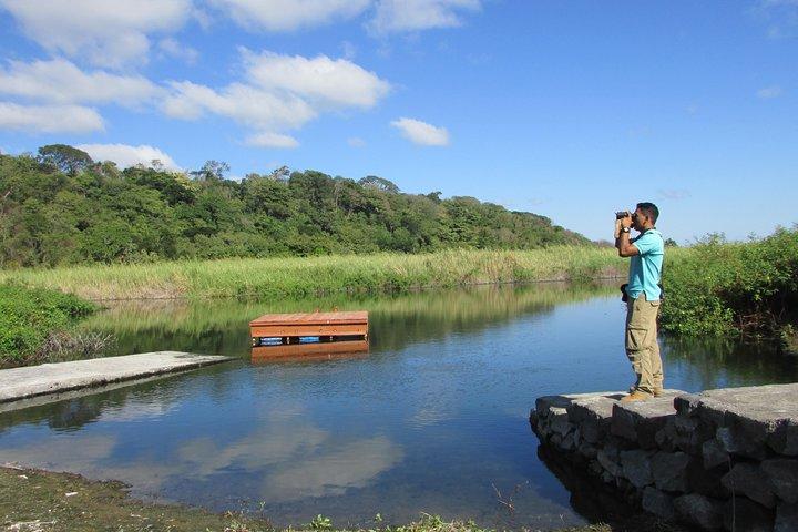 Fugletur