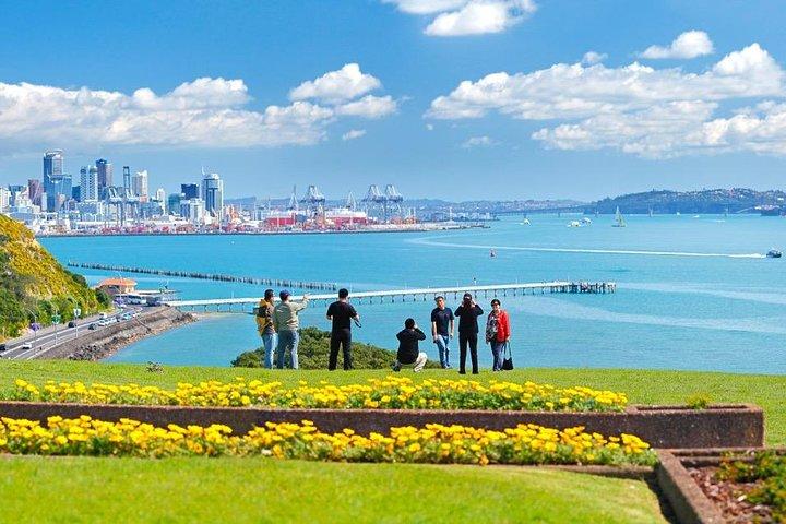 カップル向けのオークランド市のプライベートツアー。エキストラを追加して運転手が運転します。