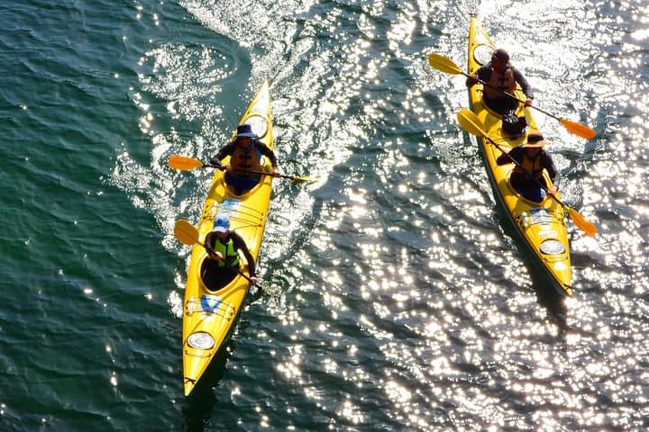 1 Hour Rental Deluxe Double Sea Kayak