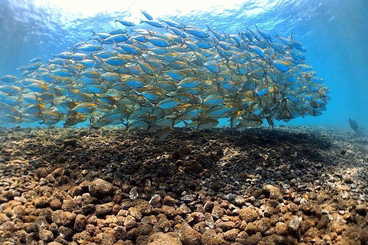 Fun Diving Tulamben Bali - For Certified Divers