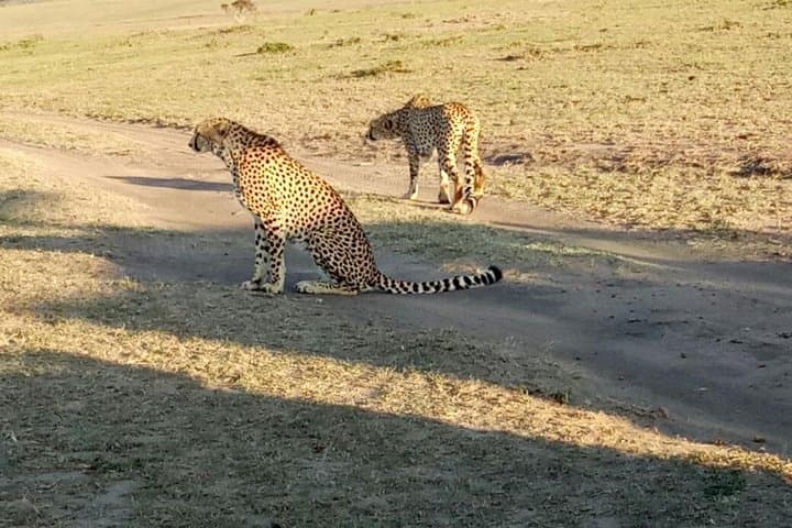 7 Days in Masai Mara- Lake Nakuru- Lake Naivasha- Amboseli National Park