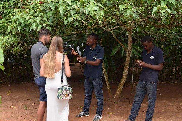 Zanzibar Spice & Night Market: Cucina & Street Food Tour