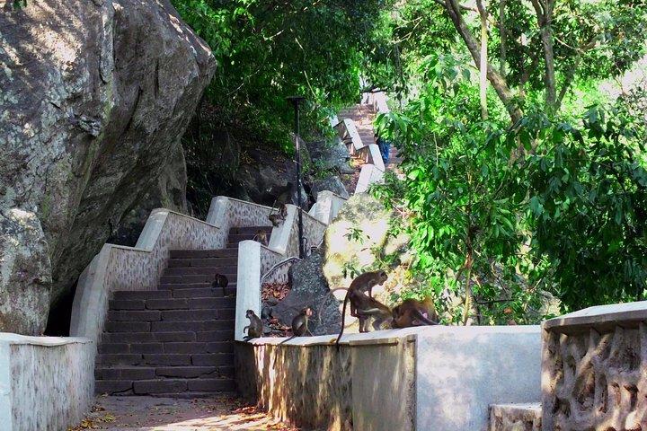 Excursión cultural de 3 días a Sri Lanka: Dambulla / Sigiriya / Polonnaruwa / Minneriya / Kandy