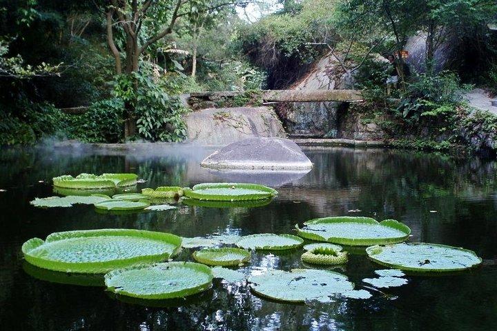Xiamen Private Day Tour Include Gulangyu Island and Botanic Garden
