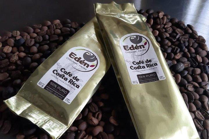 Eden Mocca Tour
