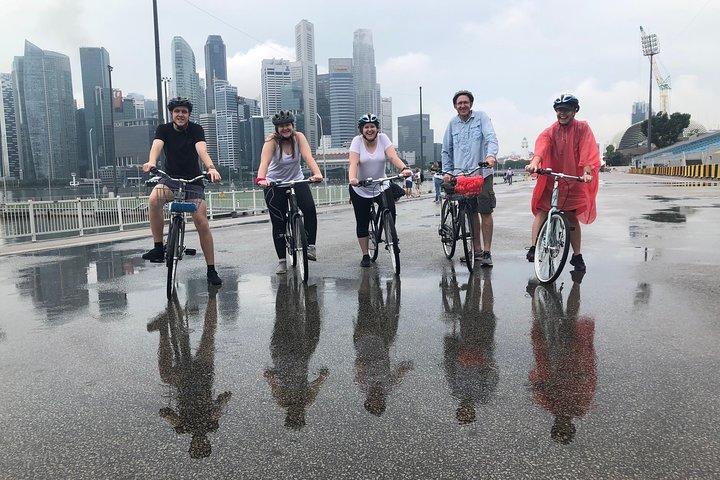 Breezing Singapore Fahrradtour
